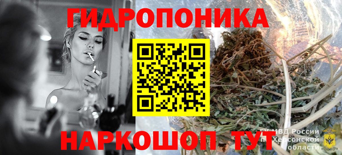 Каннабис сатива  Вход с VPN  Каннабис Amnesia  Менделеевск  Марихуана конопля  Бошки марихуана план 